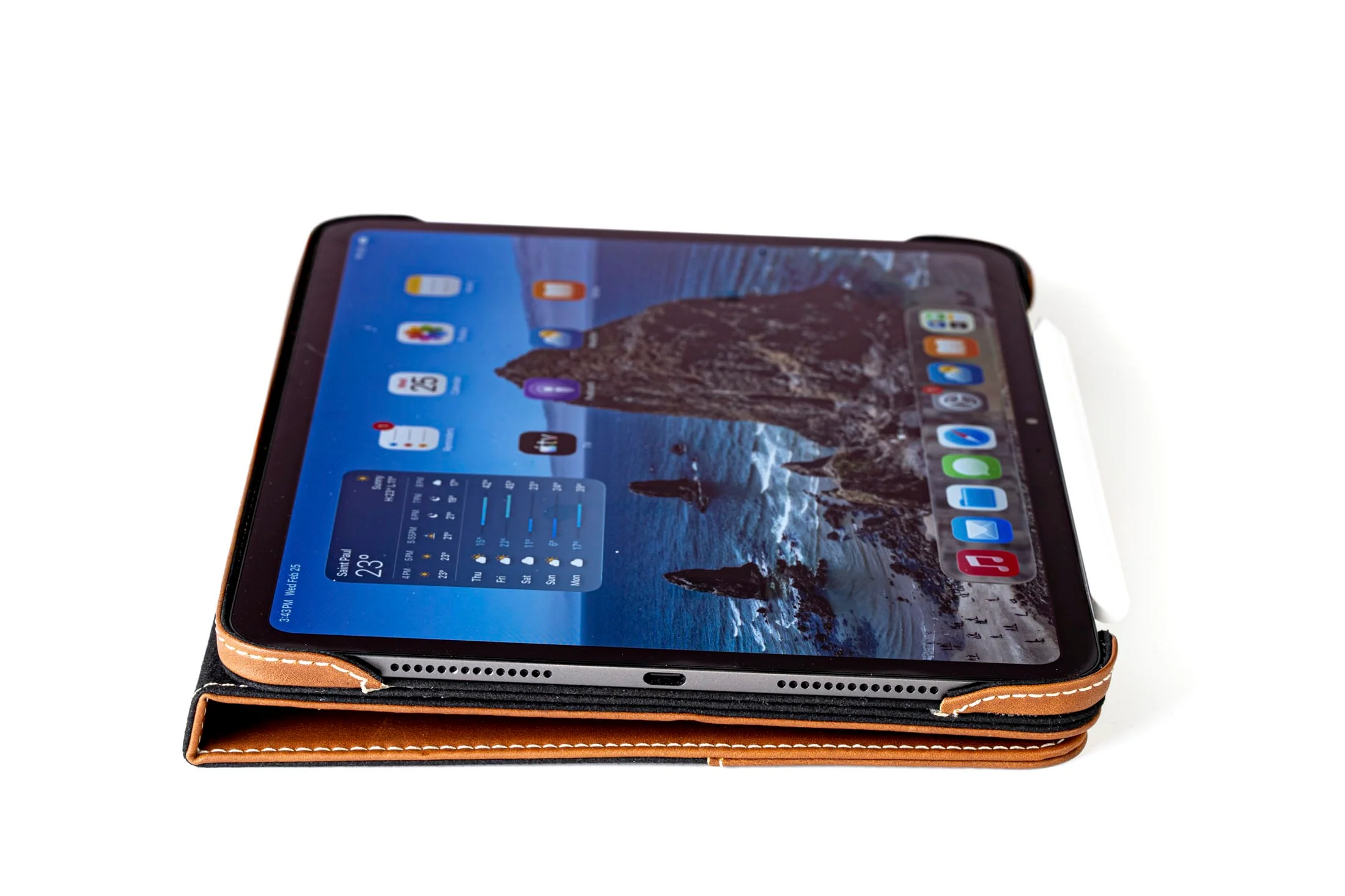 Limited Edition: Magnetic Leather Case M5 / M4 iPad Pro 11" - Image 16