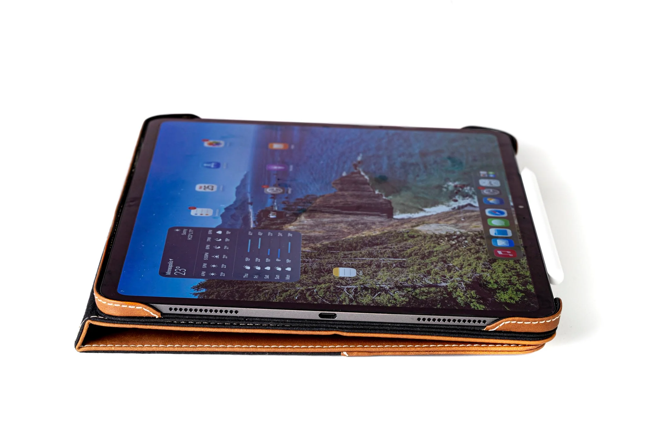 Limited Edition: Magnetic Leather Case M5 / M4 iPad Pro 13" - Image 11